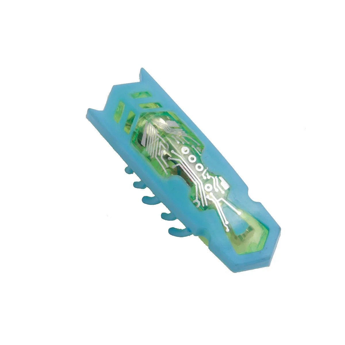Interactive Bug Toy