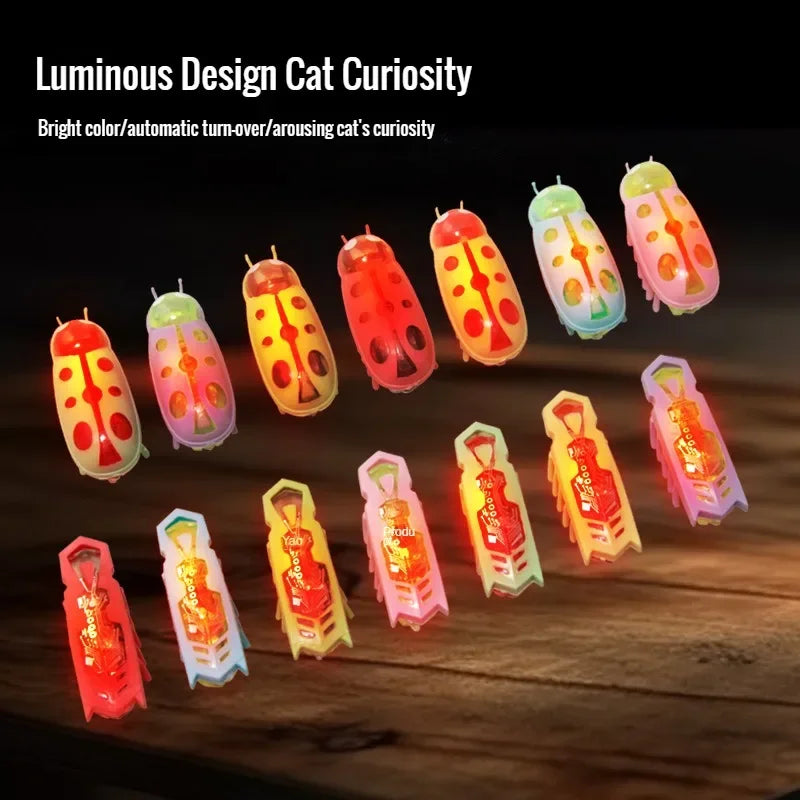 Interactive Bug Toy