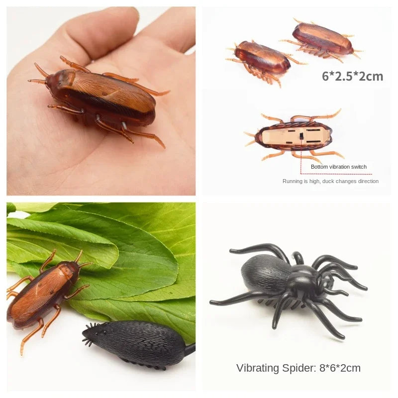 Interactive Bug Toy