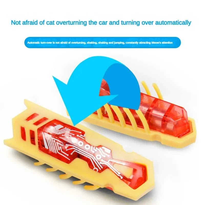 Interactive Bug Toy