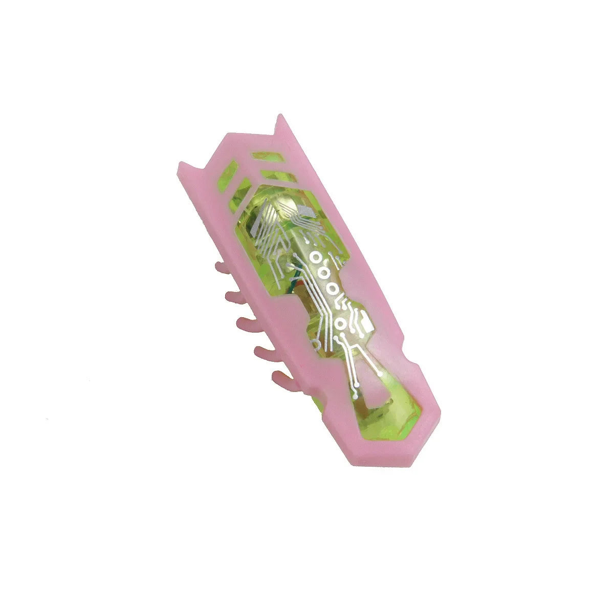 Interactive Bug Toy