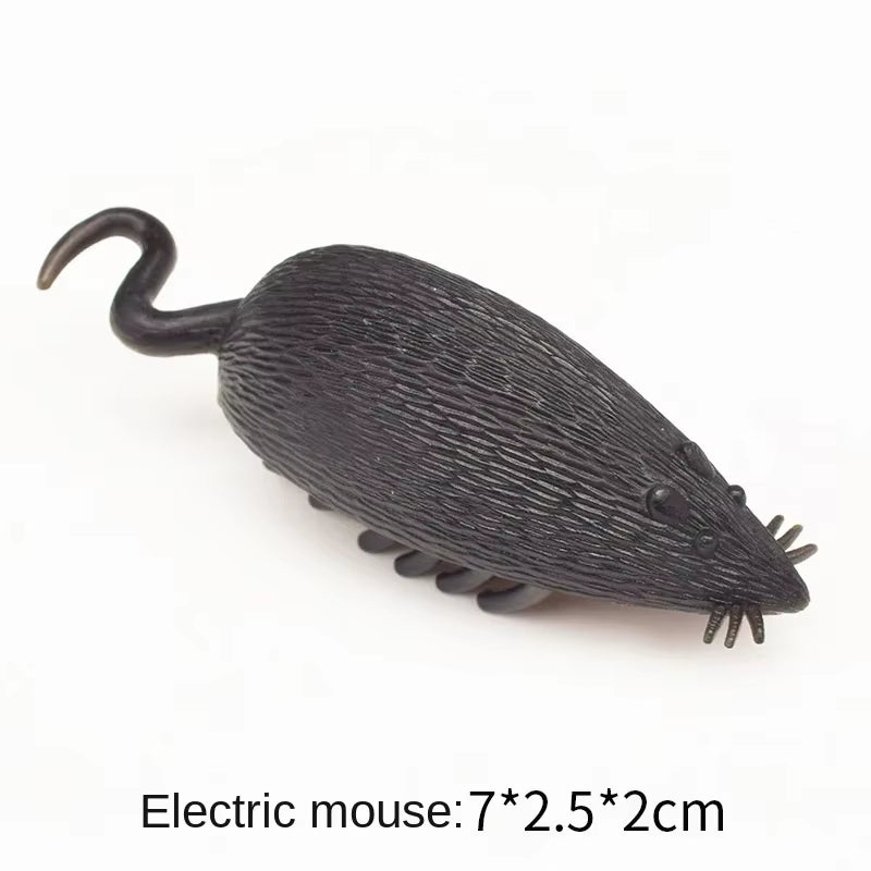 Interactive Bug Toy