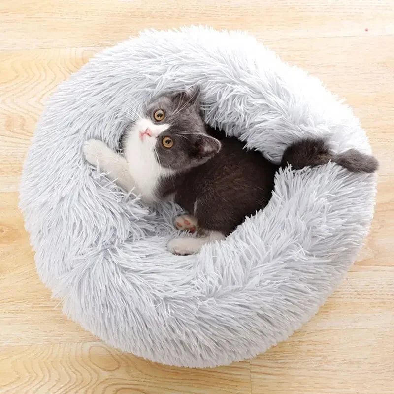 Aesthetic Cat Bed