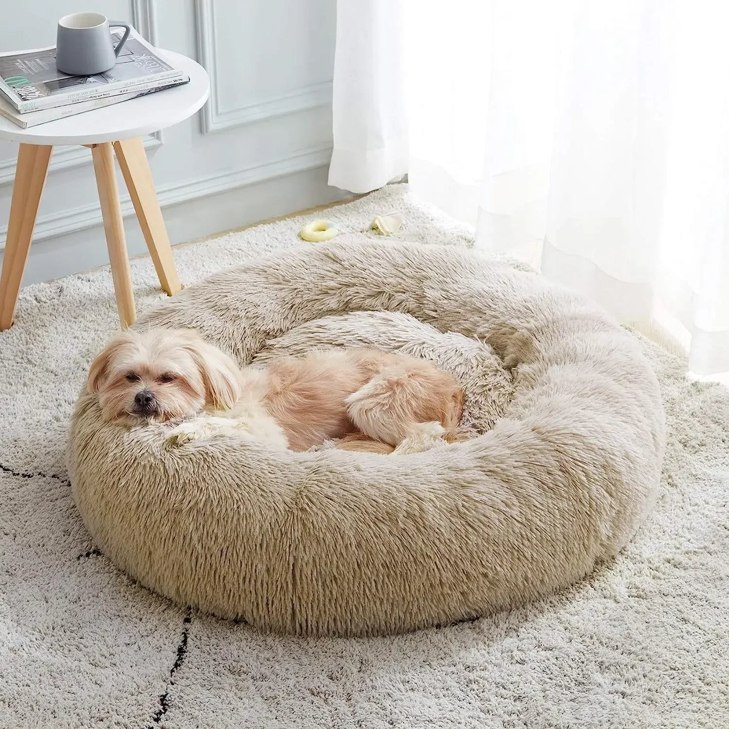Aesthetic Cat Bed