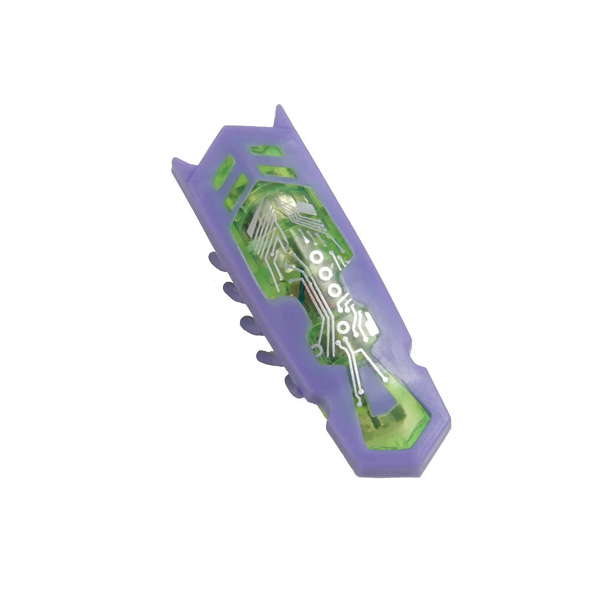 Interactive Bug Toy