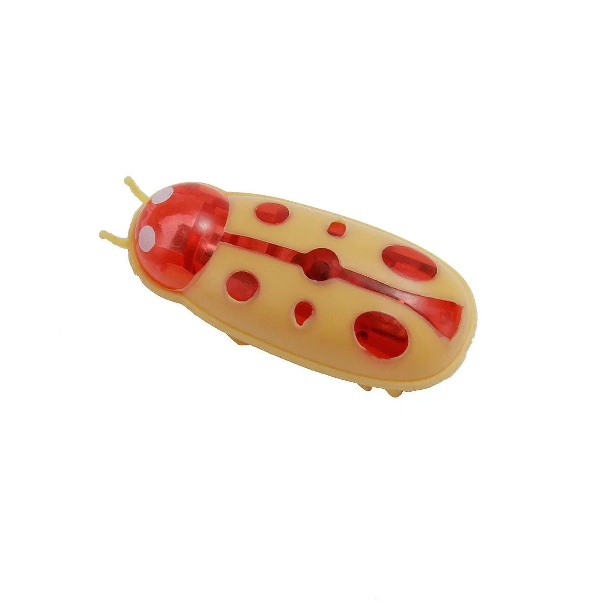 Interactive Bug Toy