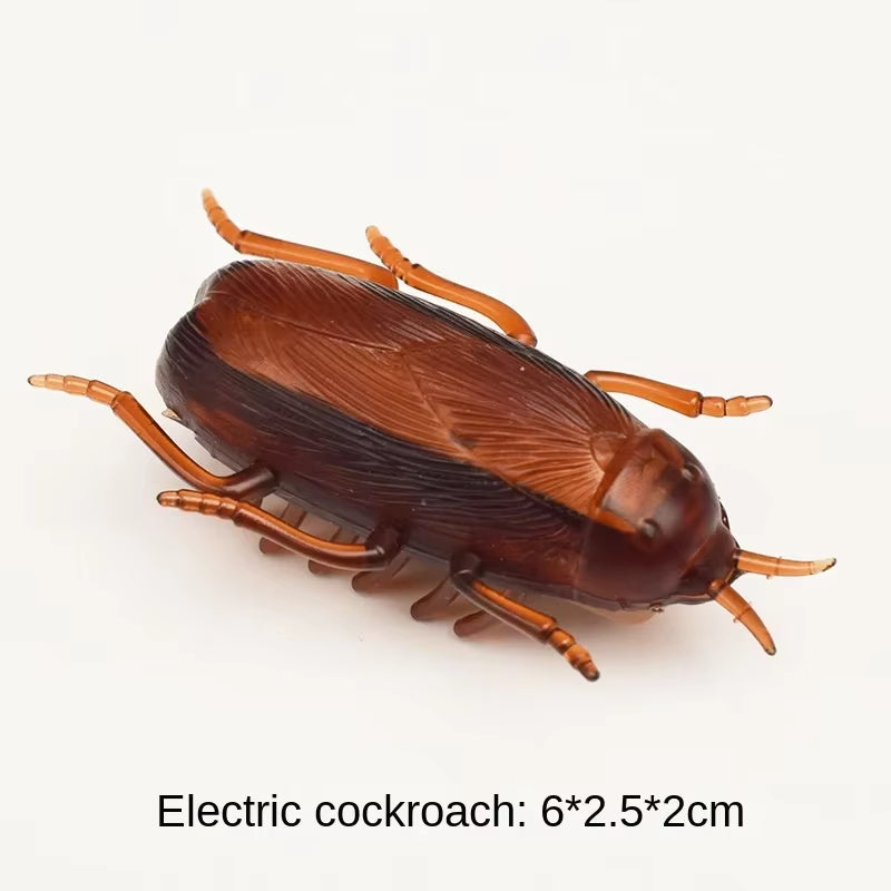 Interactive Bug Toy