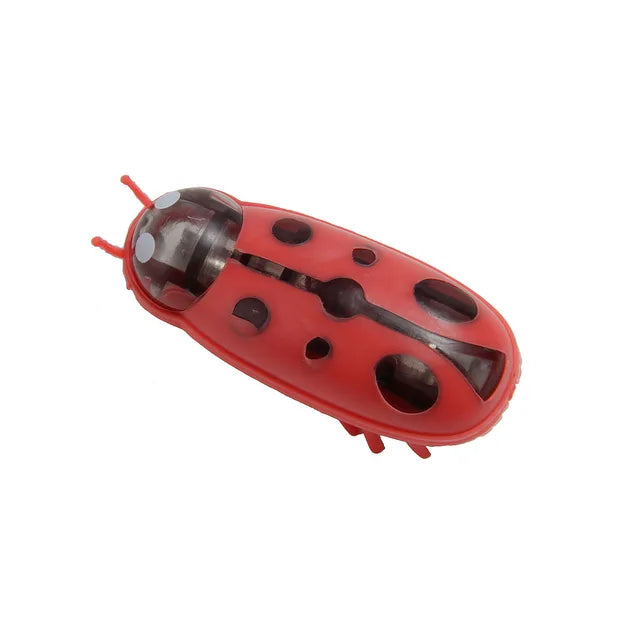 Interactive bug Toy