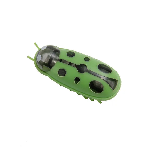 Interactive bug Toy