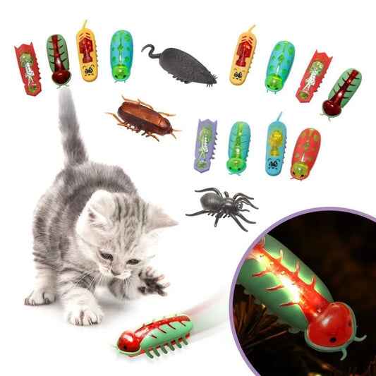 Interactive bug Toy