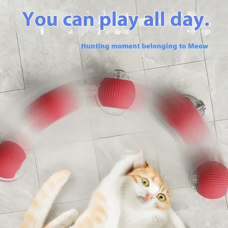 FelineFrolic Interactive Toy