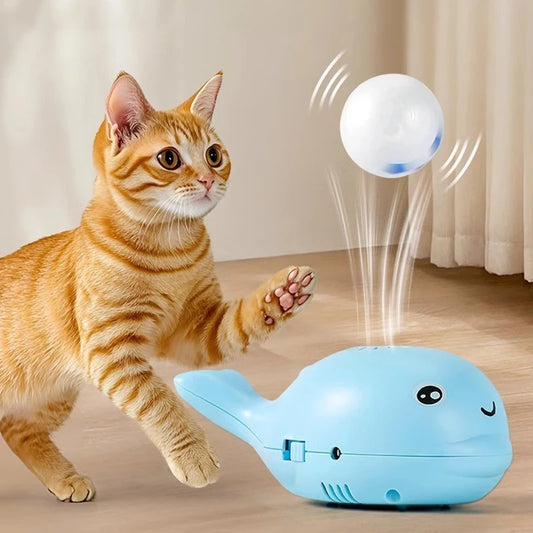 Marine Motion Cat Toy