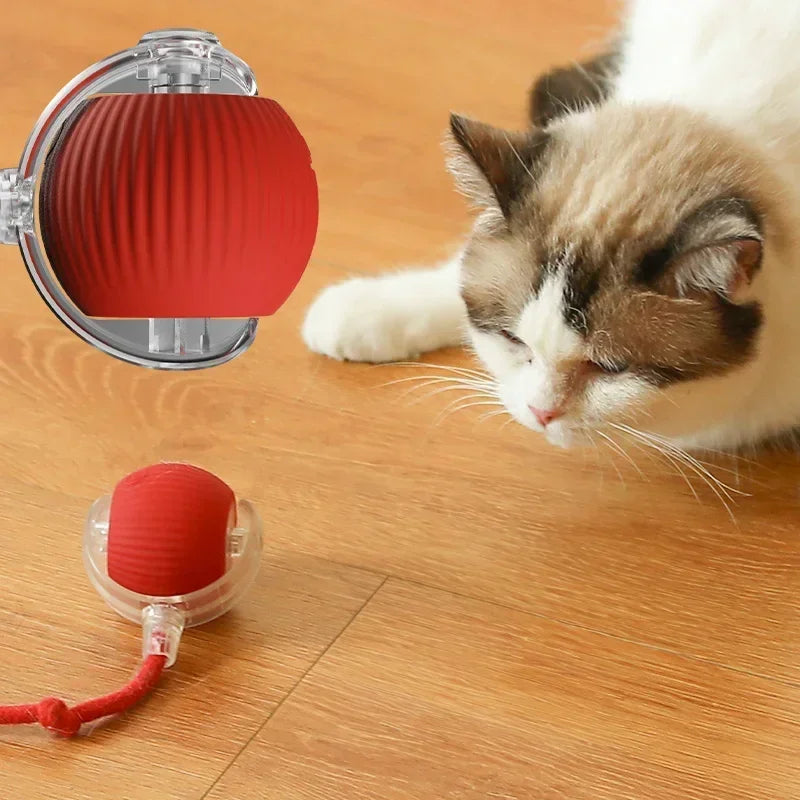 FelineFrolic Interactive Toy