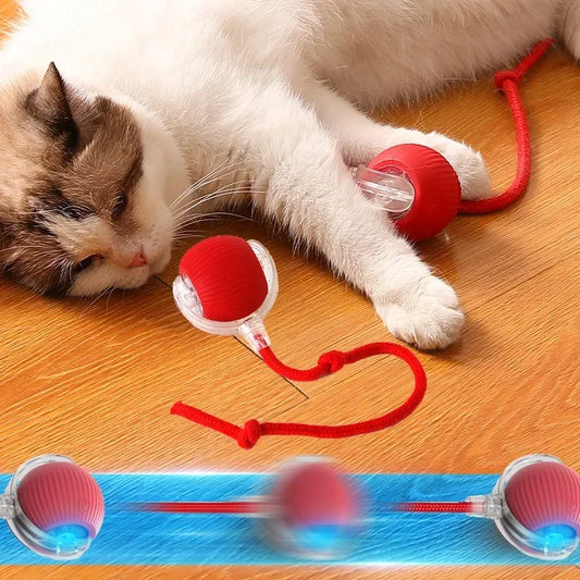 FelineFrolic Interactive Toy