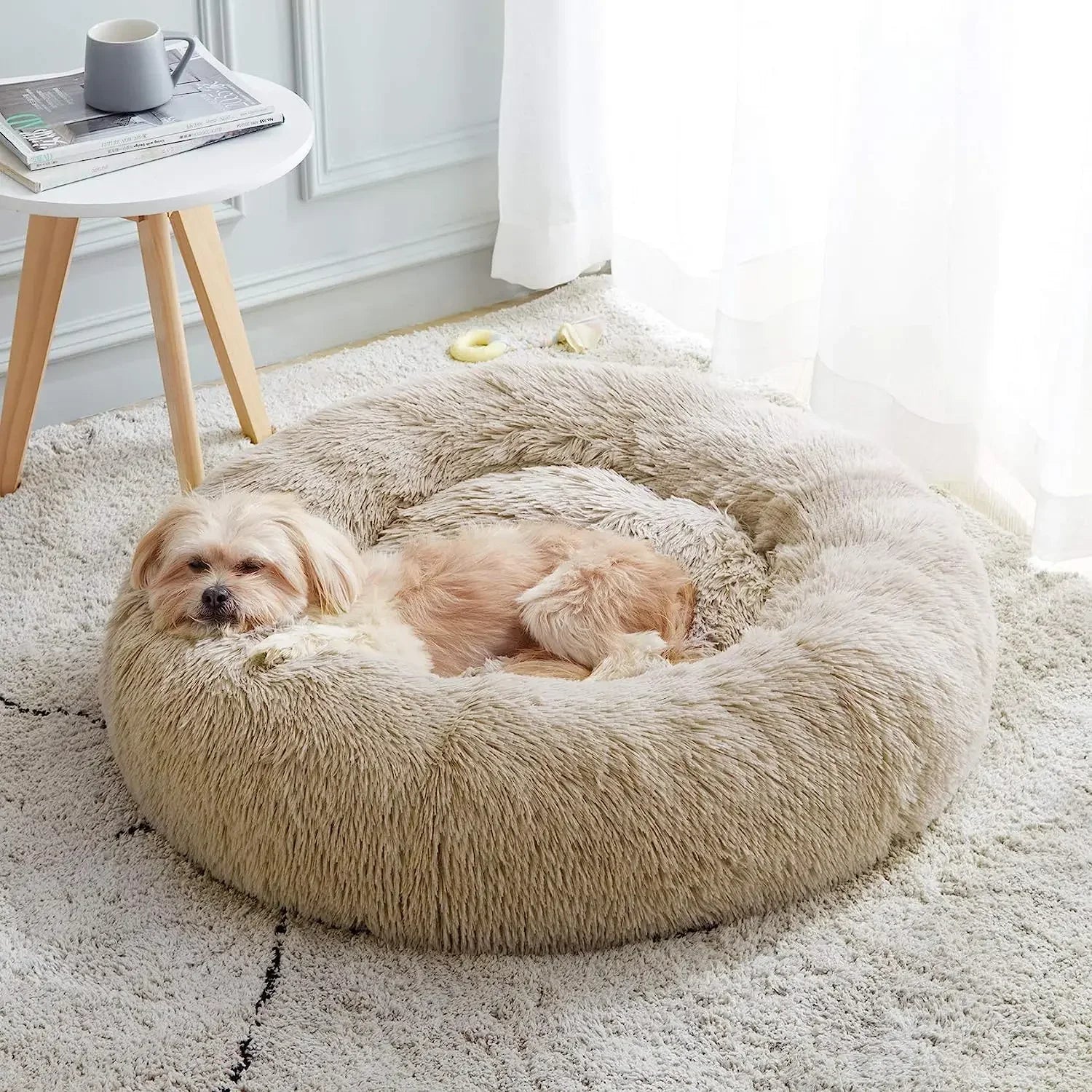 Aesthetic Cat Bed