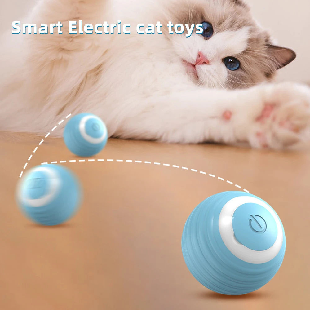 The Smart Pounce Interactive Ball Toy