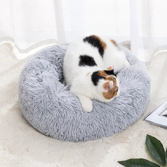 Aesthetic Cat Bed