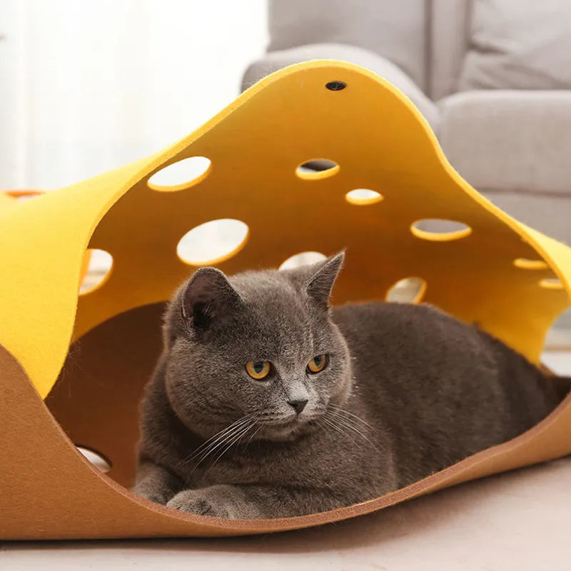 Purrplexity Puzzle Tunnel